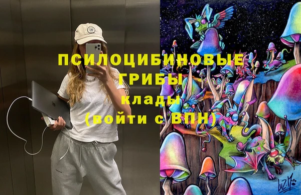 PSILOCYBIN Абинск